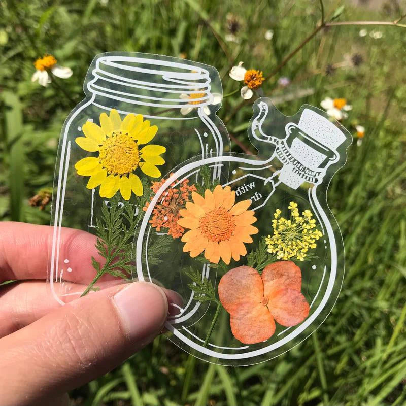 30 Uds. De marcadores de flores secas transparentes🌸