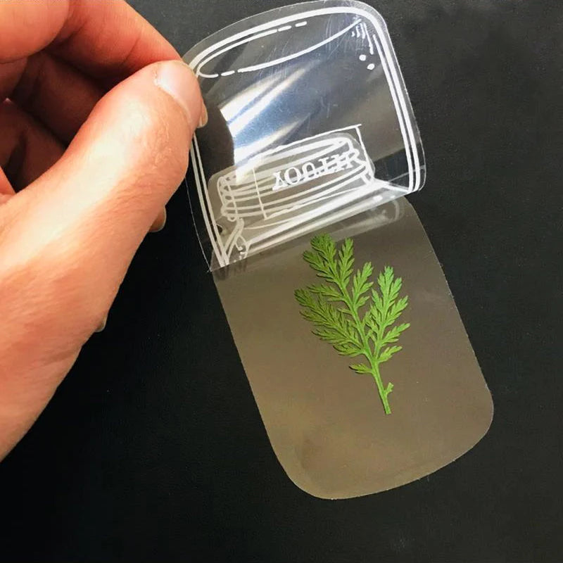 30 Uds. De marcadores de flores secas transparentes🌸