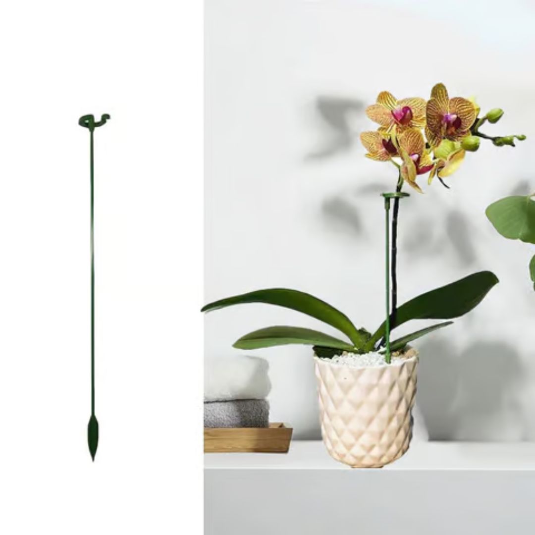 🌱10 Estacas de Apoyo a las Plantas