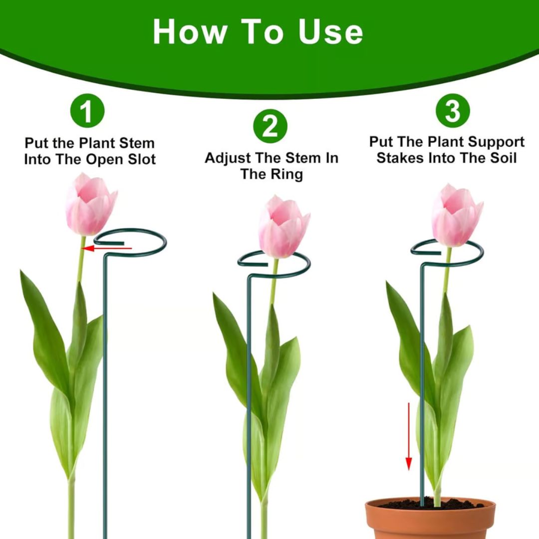 🌱10 Estacas de Apoyo a las Plantas