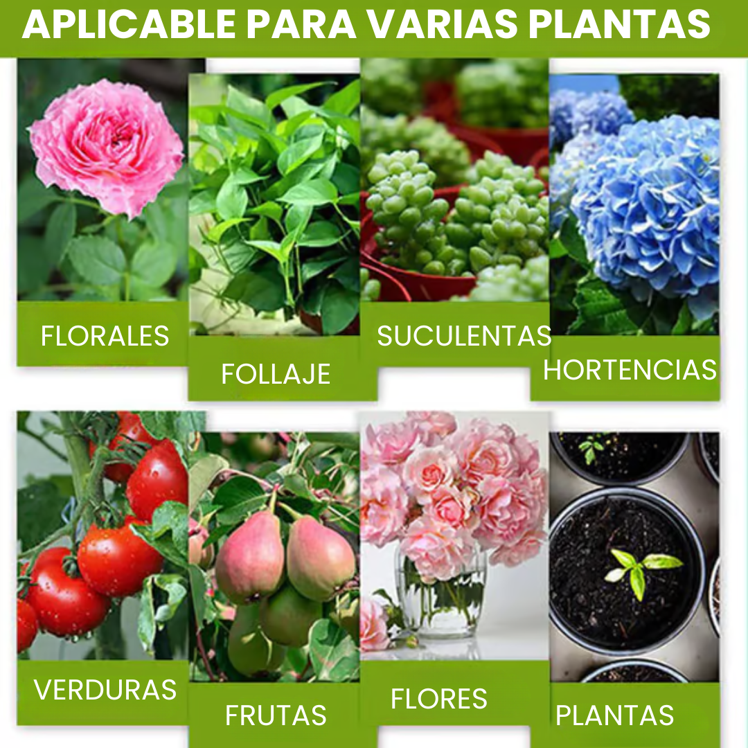 Suplemento potenciador del crecimiento vegetal