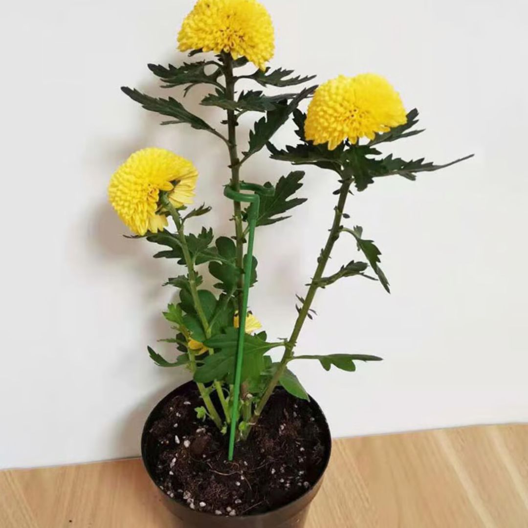 🌱10 Estacas de Apoyo a las Plantas