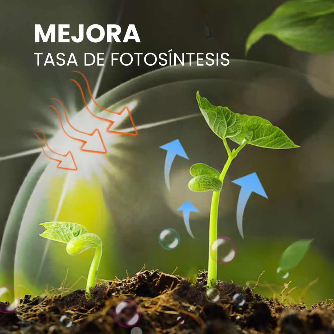 Suplemento potenciador del crecimiento vegetal
