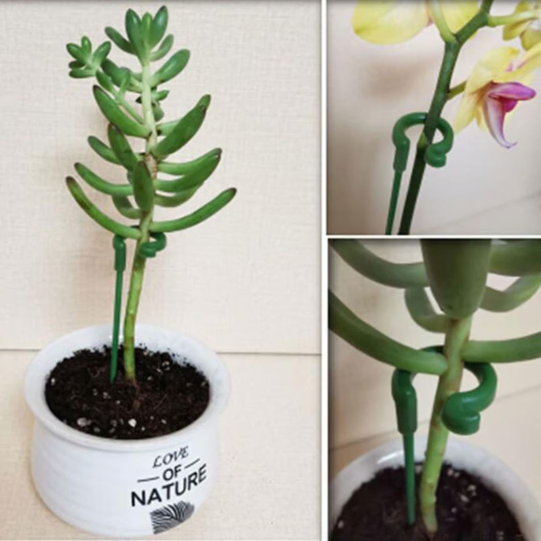 🌱10 Estacas de Apoyo a las Plantas