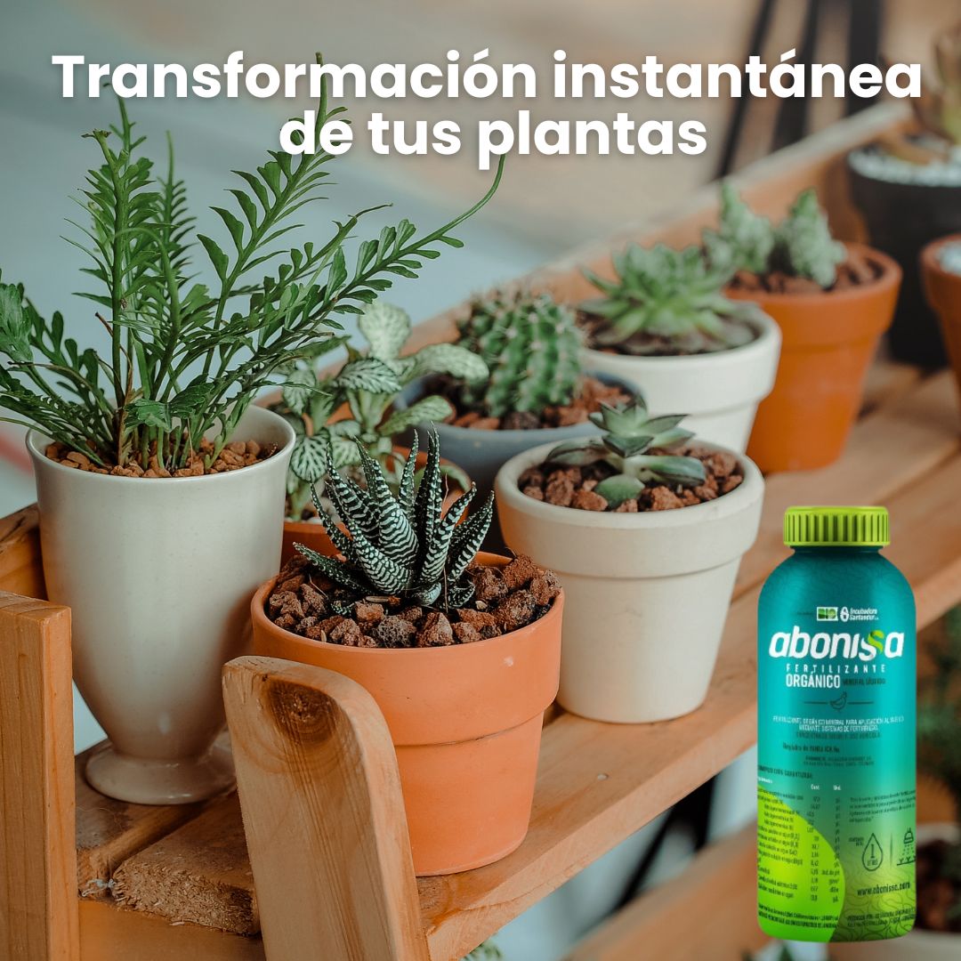 FERTILIZANTE LIQUIDO ORGANICO ABONISSA