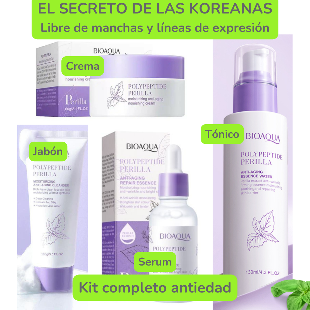 KIT KOREANO ANTIEDAD DE EXRACTO PERILLA