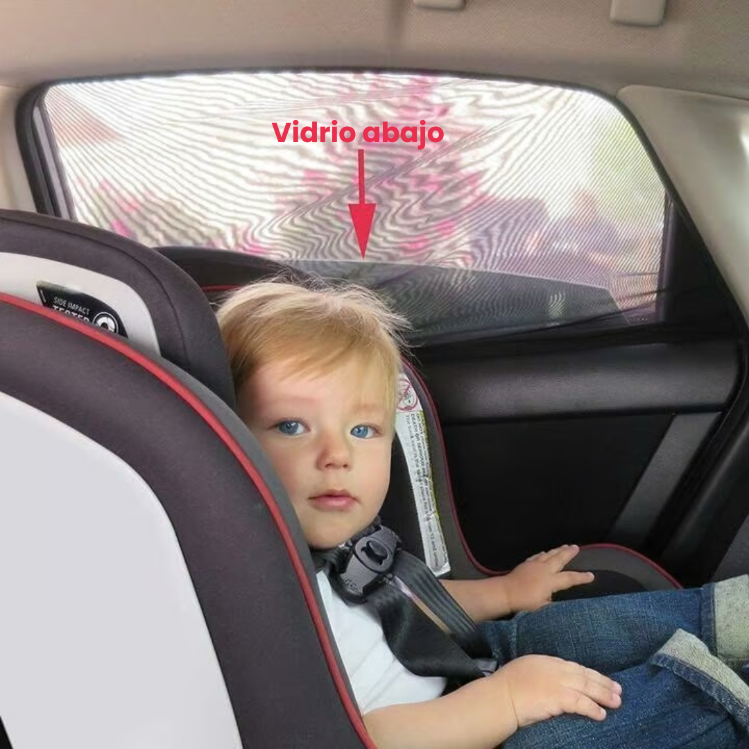 Mosquiteras universales para ventanas de automóviles