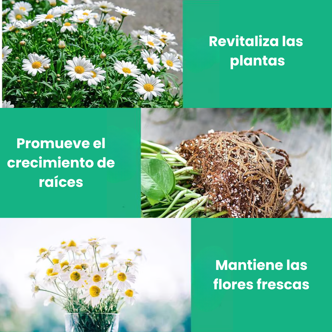 Suplemento potenciador del crecimiento vegetal