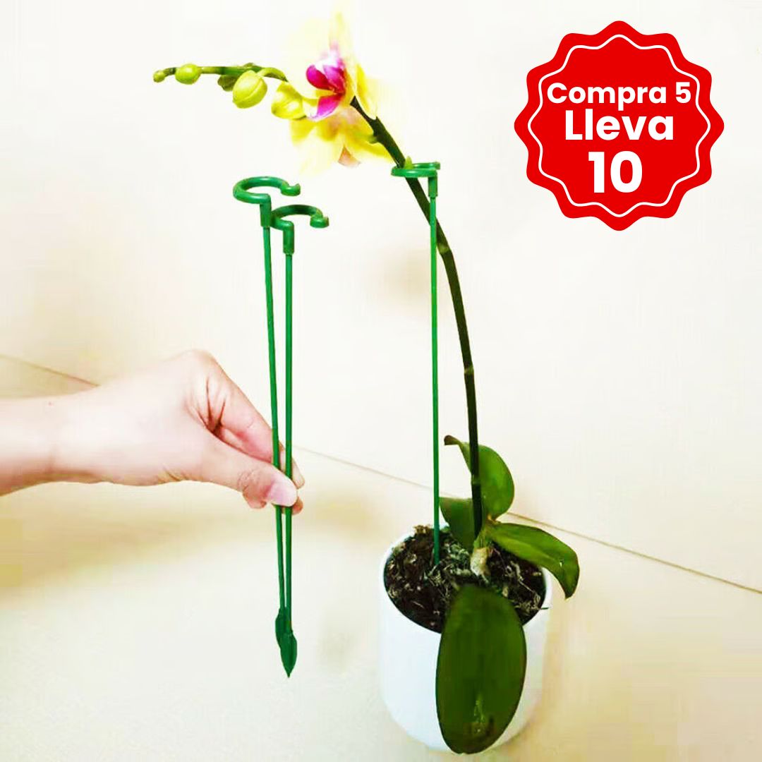 🌱10 Estacas de Apoyo a las Plantas