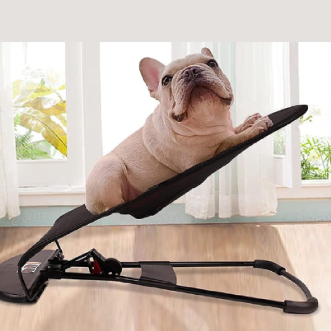 silla mecedora para mascotas