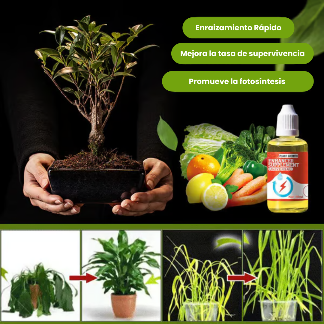 Suplemento potenciador del crecimiento vegetal