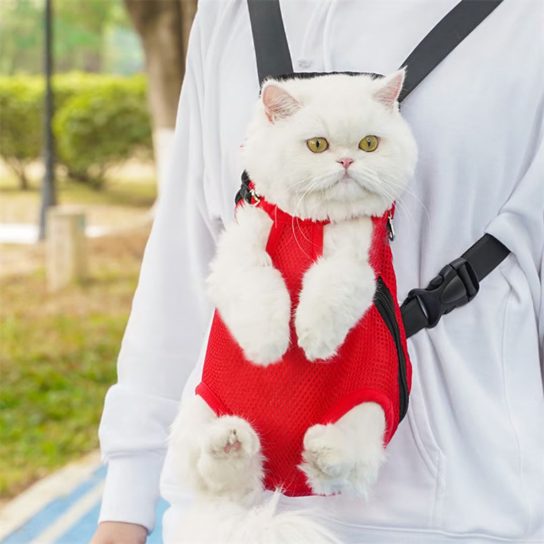 Mochila🐶🐱 de viaje para mascotas tipo bebé