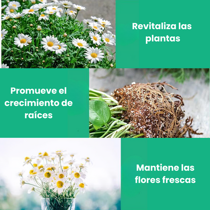 Suplemento potenciador del crecimiento vegetal