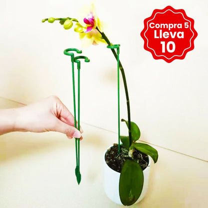 🌱10 Estacas de Apoyo a las Plantas