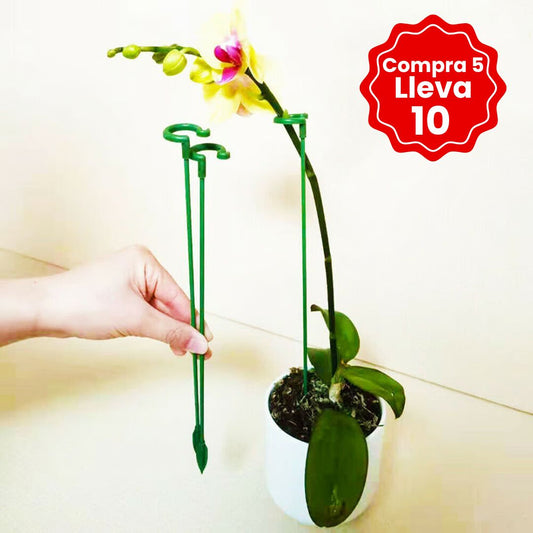 🌱10 Estacas de Apoyo a las Plantas