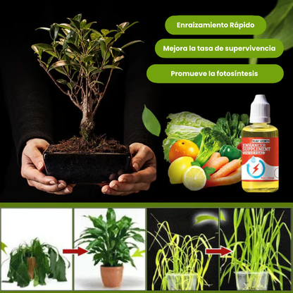 Suplemento potenciador del crecimiento vegetal